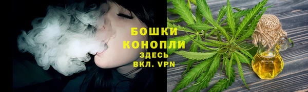 мдпв Горнозаводск