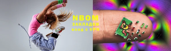 мдпв Горнозаводск