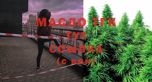 мдпв Горнозаводск