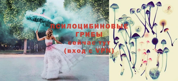гидра Гусь-Хрустальный