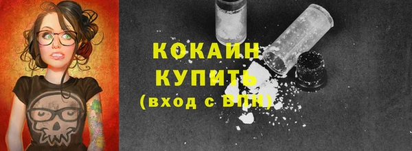 мдпв Горнозаводск