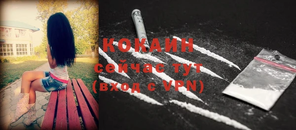 мдпв Горнозаводск