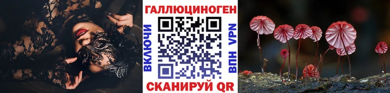 Псилоцибиновые грибы Psilocybe  Купить где  Кизляр 