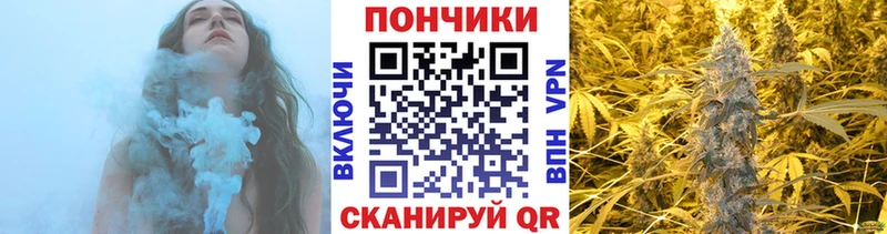 МАРИХУАНА план  Купить закладки  Кизляр 
